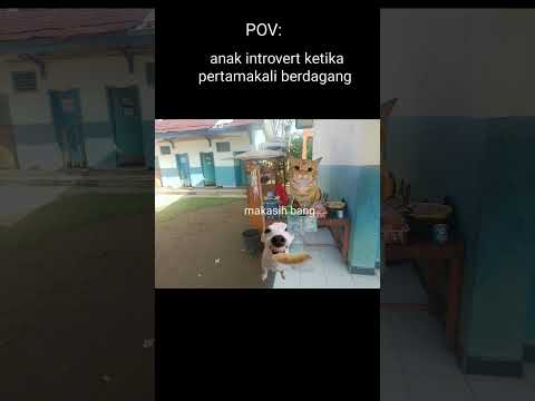 😹😹😹#cat #lucu #comedy #funny