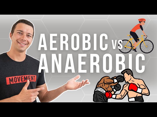 Is Baseball Aerobic Or Anaerobic?