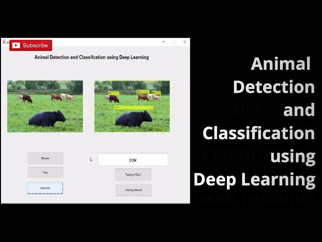 Automated Animal Identification Using Deep Learning Techniques