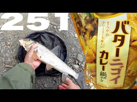 冬の川釣りの友ニゴイを釣って食う【バター251カレー鍋】