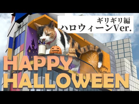 新宿東口の猫『ギリギリ編ハロウィーンVer.』