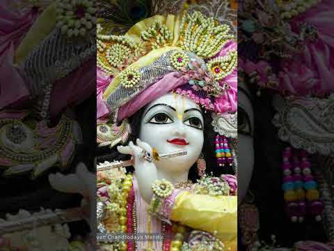 🥰 radhe 📿 Krishna 🥰 radhe 📿 krishna 🥰 radhe 📿 Krishna 🥰 radhe 📿 Krishna 🥰📿