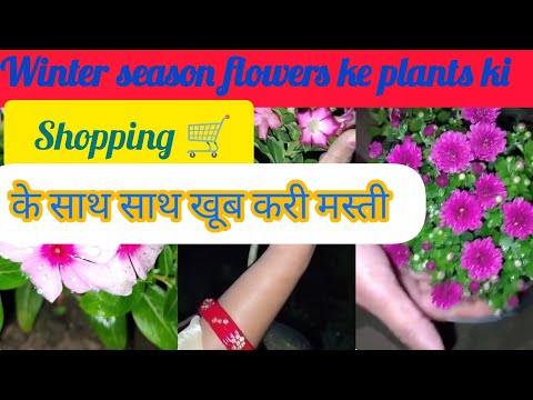 Winter season के लिए कौन कौन से पौधे लिये और खूब सारी करी मस्ती धमाल