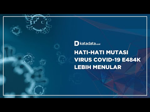 Hati-hati Mutasi Virus Covid-19 E48K Lebih Menular | Katadata Indonesia