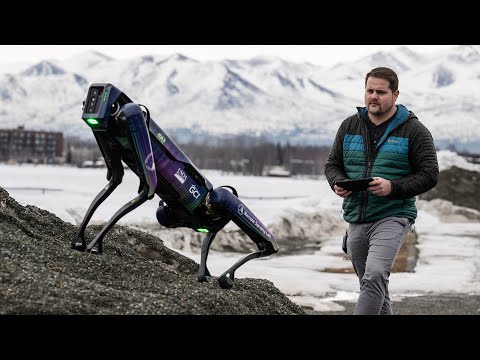 Alaska DOT tests robotic dog for use in airport wildlife mitigation