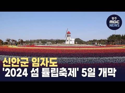 신안군 임자도 '2024 섬 튤립축제' 5일 개막