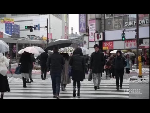 Giappone, Tokyo si è svegliata sotto la neve: traffico in tilt