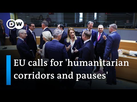 EU leaders meeting in Brussels called for a humanitarian 'pauses' in Gaza | DW News