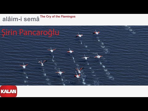Şirin Pancaroğlu - Alâim-i Semâ / The Cry of the Flamingos I Official Music Video © 2022 Kalan Müzik