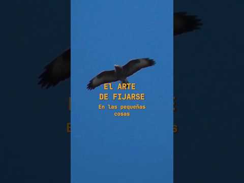 Lo bonito de la naturaleza #fauna #animales #viral