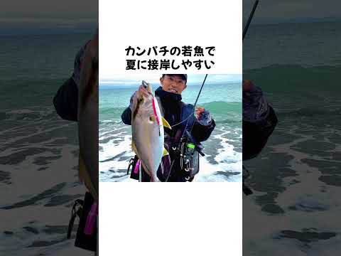 2026年7月14日