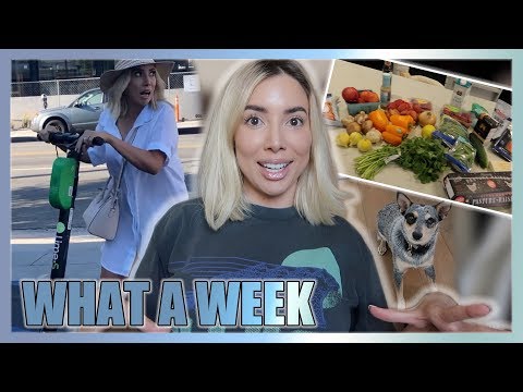 GETTING BACK INTO MY ROUTINE | ATTEMPTED DETOX, PUPS & INSTANT POT - UCC0EqtXQ9at6ON_-ZYJaImA