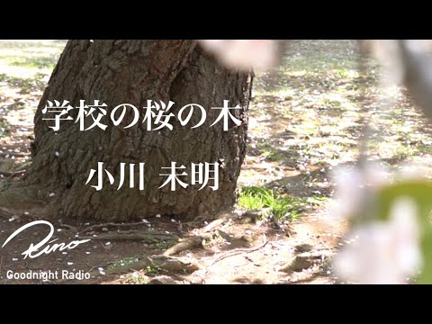 【春に聽きたい】小川未明『學校の櫻の木』【眠くなる聲・朗讀・讀み聞かせ】