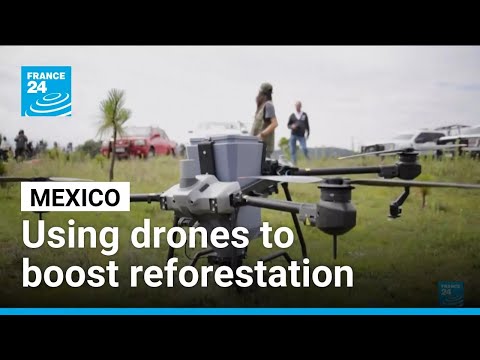 Mexico uses drones to boost reforestation • FRANCE 24 English
