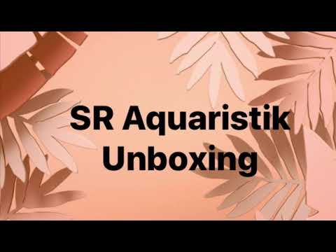 SR Aquaristik Unboxing Video SR Aquaristik sent us a package, let see what’s in it.