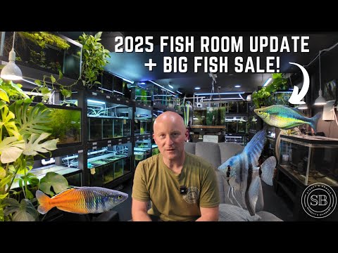 ENORMOUS FISH ROOM SALE AND UPDATE! (4K) I'm always excited to share the progress of this room with you guys :) In this video, I show you how
