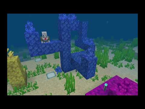 Coding Coral: May Monthly Student Build Challenge
