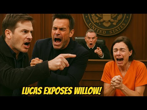 Lucas Goes To Court To Prove Willow Has A Personality Disorder! General Hospital Spoilers