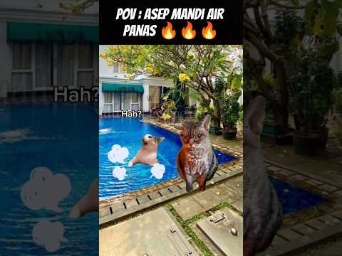 Pov : Awas Gosong 😂 #meme #cat #kucing #animation #funny #fypシ