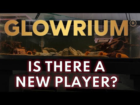 Don’t buy an aquarium LED before watching this! Can this light be a game changer? Or will it fall to the waist side as many companies have.

Link to
