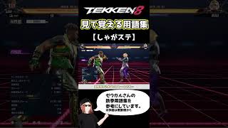 【鉄拳8】見て覚える用語集【しゃがステ】