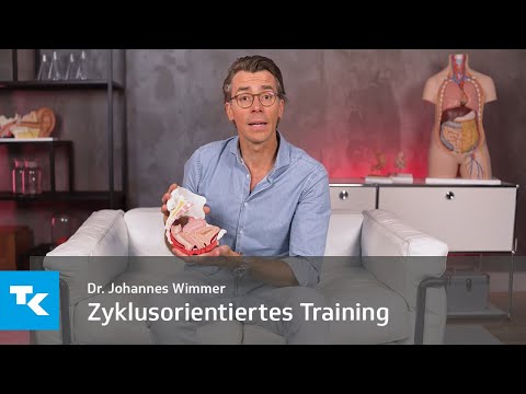 Zyklusorientiertes Training I Dr. Johannes Wimmer