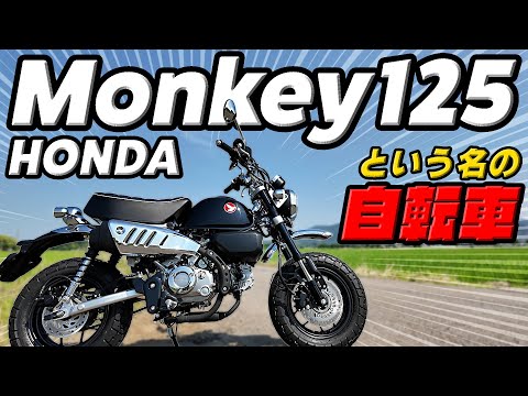#257 125ccバイクに多くを求めないライダーだけ乗るべき！【HONDA Monkey125】は完全に自転車です・・・街乗り、峠、モンキーの良い所だけお伝えします（笑）これは大人の玩具だな。