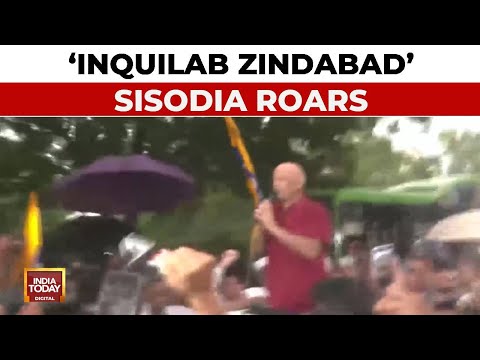 Manish Sisodia Walks Out Of Tihar Jail, Roars 'Inquilab Zindabad', AAP Supporters Welcome Him