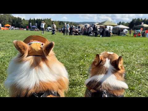 一日中晴れなので、犬を『秋のペットマルシェ』に連れて行った結果…