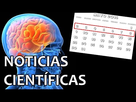 Revivirán cerebros humanos | Noticias 2/5/2016