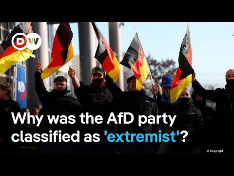 Germany’s domestic intelligence agency finds strong evidence for AfD’s threat to democracy | DW News
