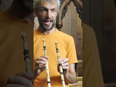 Photo for: Recreating ancient Greek music