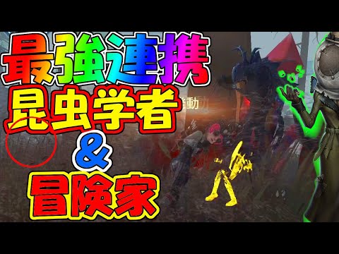 【第五人格】激熱！リッパーSランカー相手に見失わせる虫と冒険家の組み合わせが強すぎた！！【IdentityⅤ】