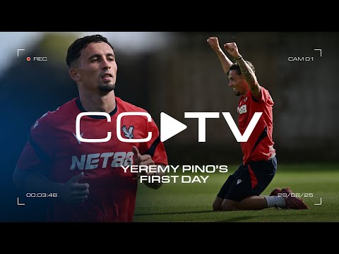 Behind the Scenes | Pino's First Training Session
