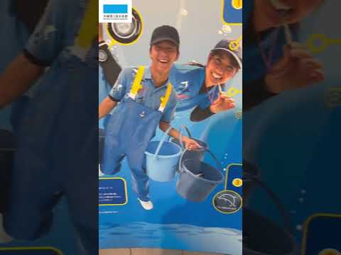 猫の動画サムネイル - オキちゃんとムクのパネル展を開催中！！