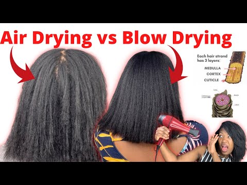 BLOW DRY versus AIR DRY: What’s better for my hair? Brad Mondo vs Manes By Mell