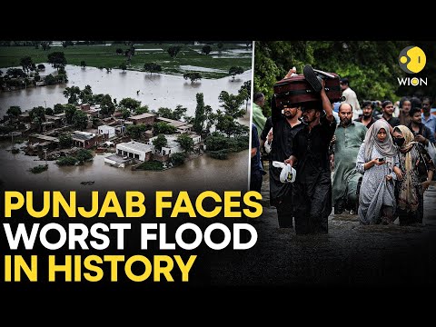 Punjab Floods LIVE: Worst Flood Of The Century Hits Pakistan, Punjab | Floods In Pakistan Punjab