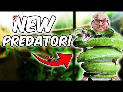 I Put a PREDATOR in my 23 Animal Enclosure How will this beautiful beast interact with the inhabitants of this rainforest? If you want to setup
