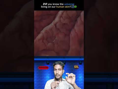 এটাই হলো আমাদের চামড়ার ভেতরের আসল রূপ! 🔬😳 #viralvideo #youtubeshorts #trendingnow #samtheloser