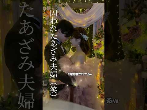 【ウェディングフォト】今日は6回目の結婚記念日です#shorts @仲道夫婦