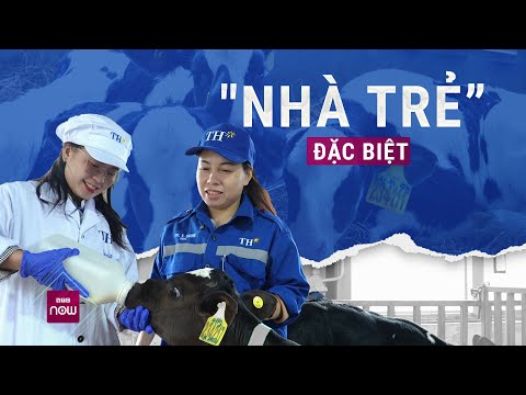 Trải nghiệm cho bê con uống sữa tại 