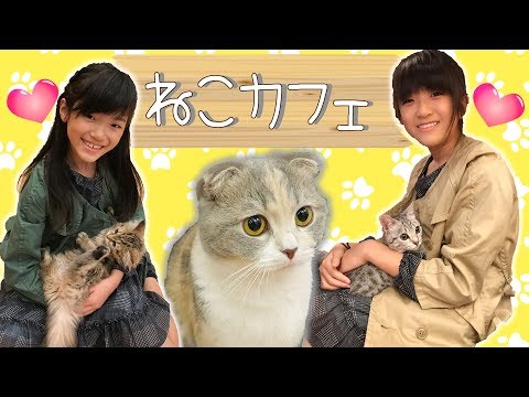 かんあきねこカフェに行く♡