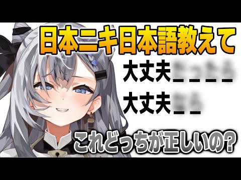 日本ニキに日本語上級者な質問をするゼータ【英語解説】【日英両字幕】