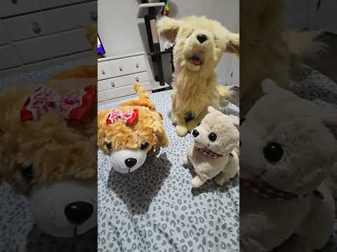 you can't control me