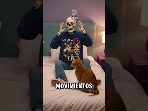 ¿Es peor dormir con un perro o con un gato?