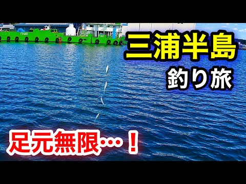イワシが鈴なり！太刀魚とカマス爆釣と聞いてハシゴしました【横須賀釣り旅】