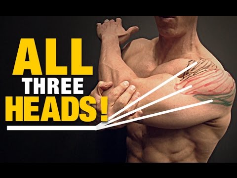 Shoulder Stretches for Your Delts (ALL 3 HEADS!) - UCe0TLA0EsQbE-MjuHXevj2A