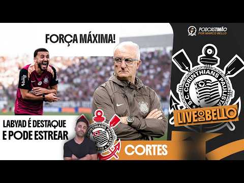 image para ilustrar o artigo