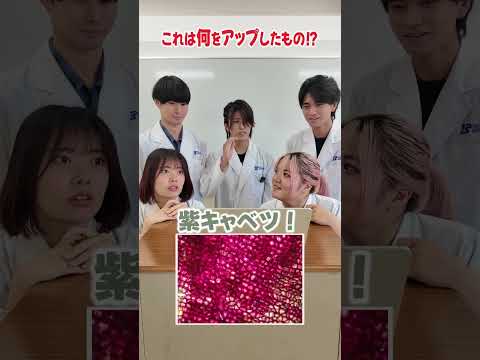 最後は難しすぎる、、、 #shorts #東京バイオテクノロジー專門學校 #專門學校 #專門學生 #理系 #實驗 #science