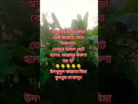 আপনি কি জানেন, জান্নাতে কারা আল্লাহর অতিথি হবেন?”#জান্নাত #রহমত #ইসলাম #shortvideo #motivation